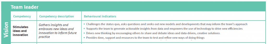 Team Lead Vision Competency